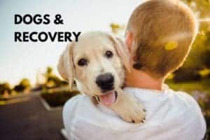 Dogs and recovery