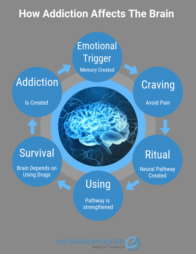 The Psychology Of Addiction The Freedom Center 