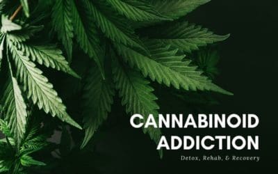 Marijuana Addiction Treatment in Maryland