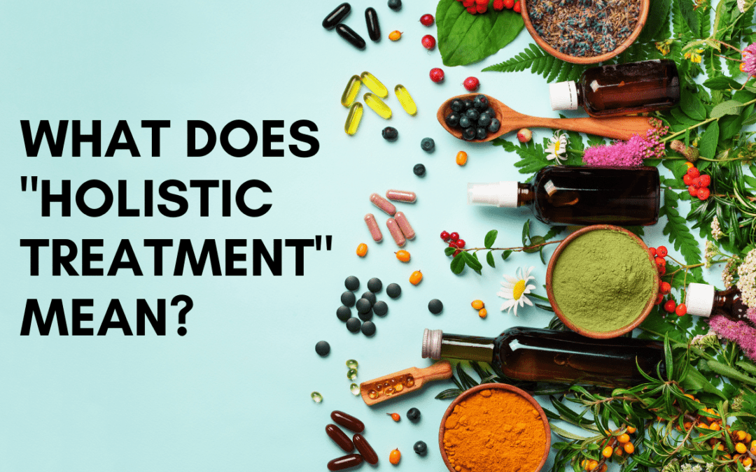 What does holistic treatment mean