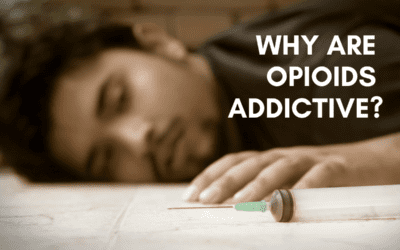 Why Are Opioids Addictive?