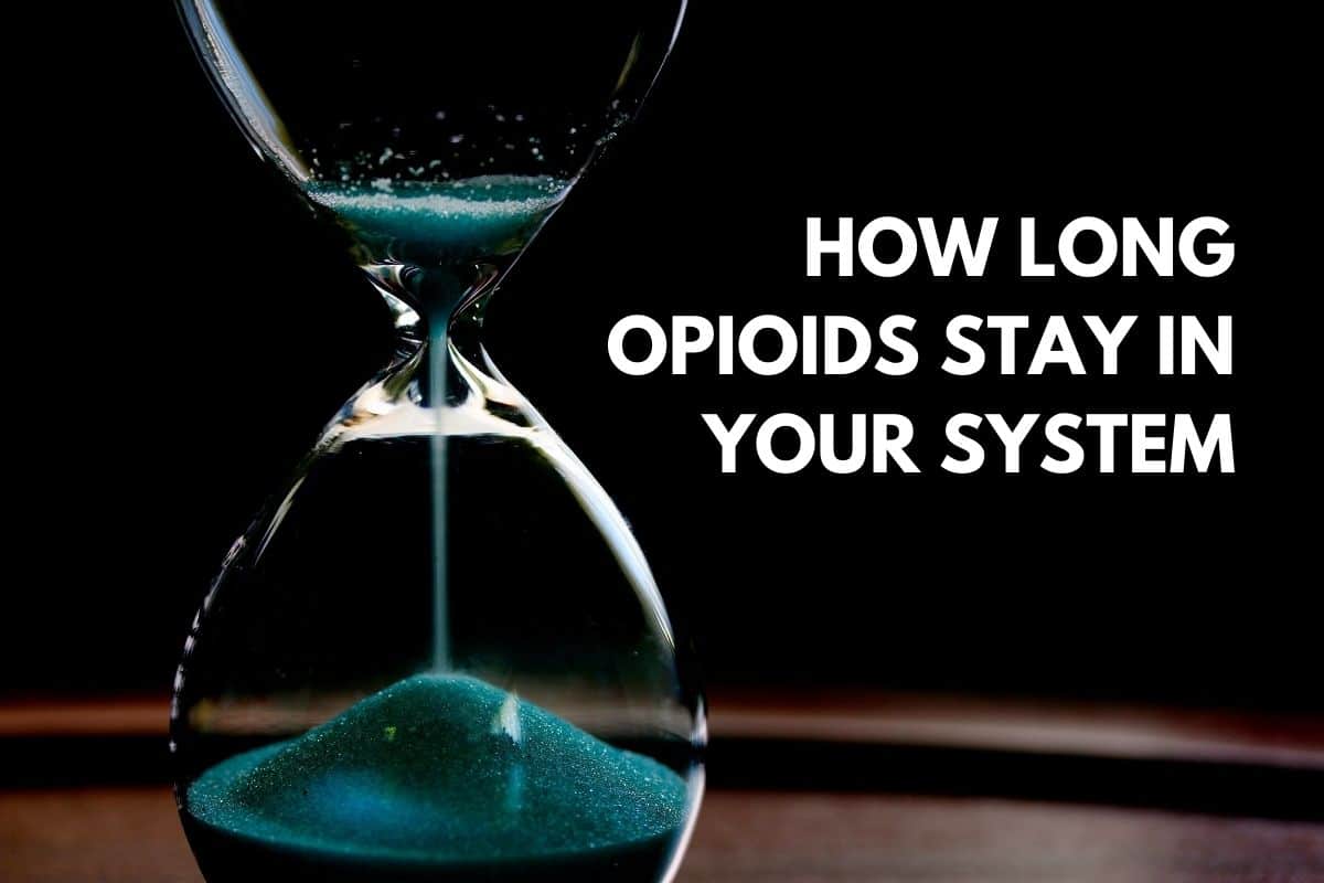 how long opioids stay in your system