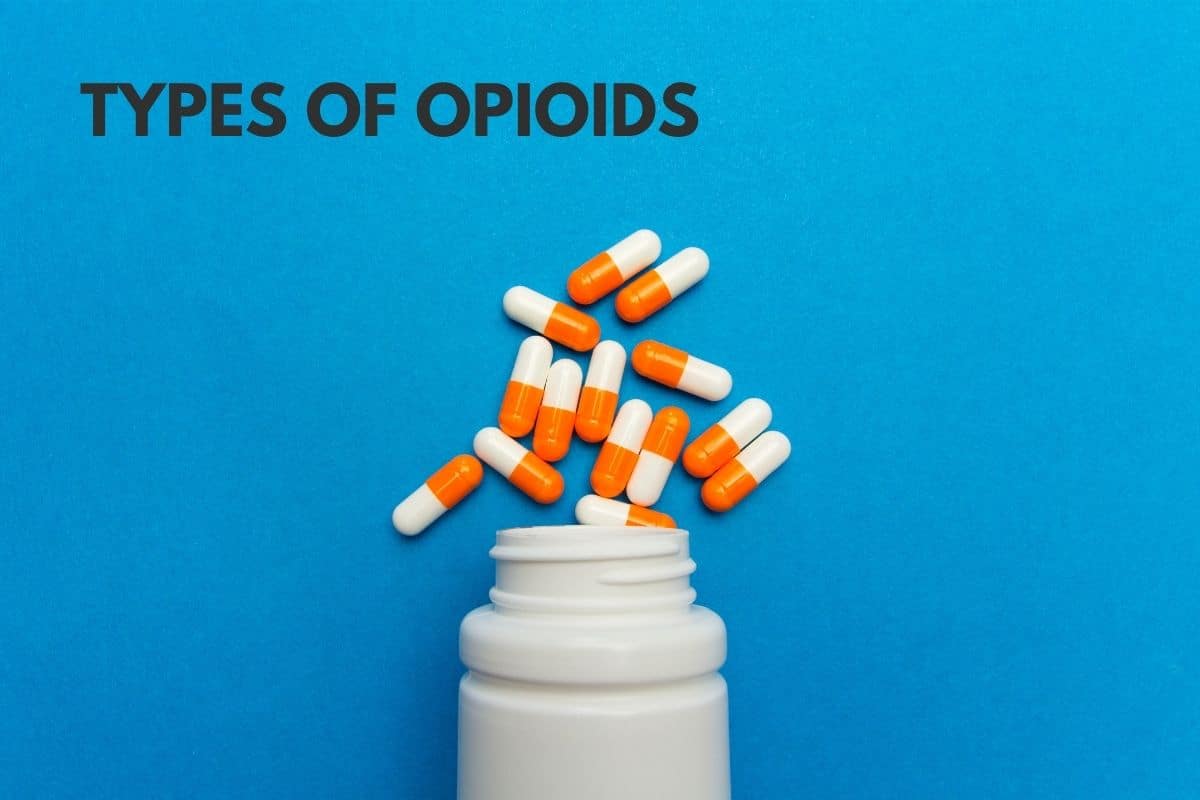 types of opioids