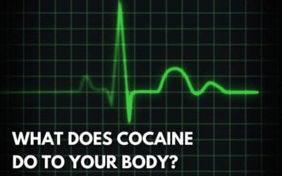 what does cocaine do to your body