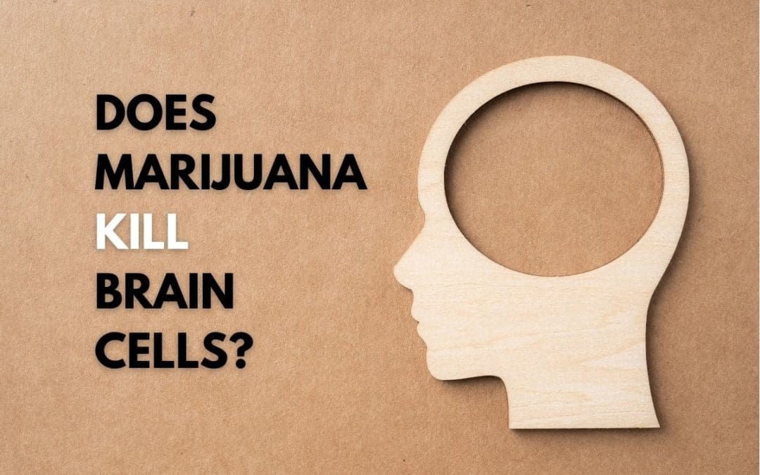 Does Marijuana Kill Brain Cells? How Weed Affects Cognition