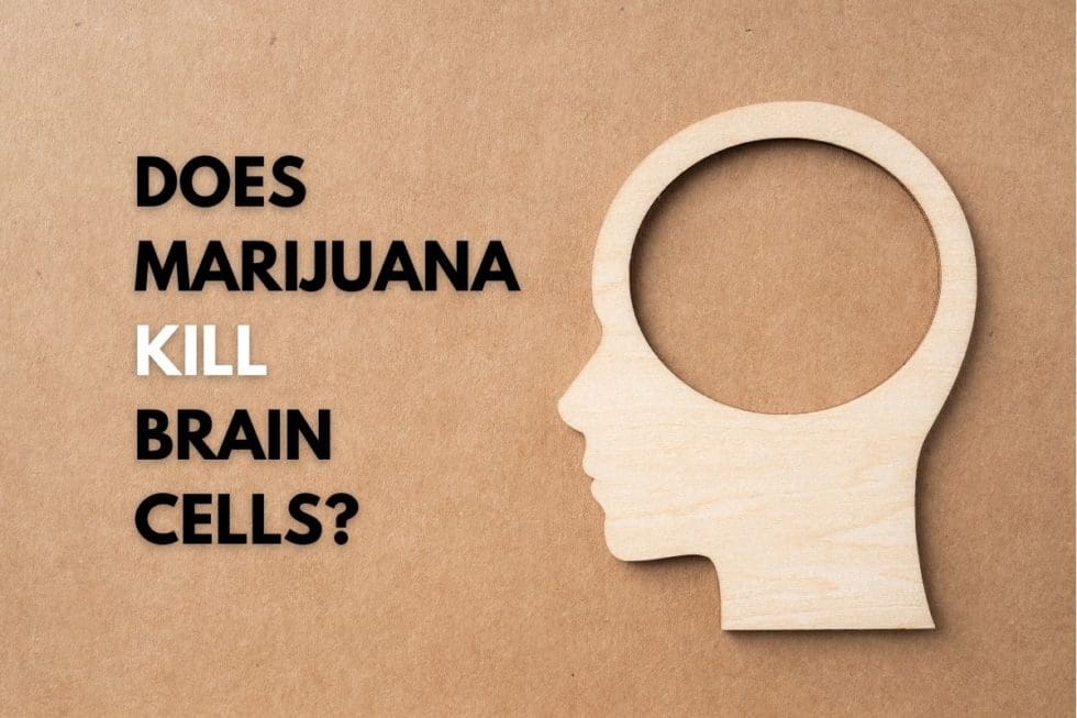 Does Marijuana Kill Brain Cells?