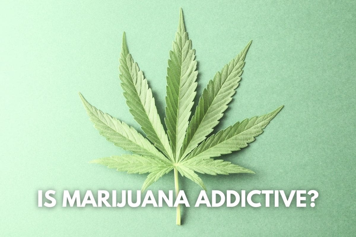 marijuana-is-not-addictive