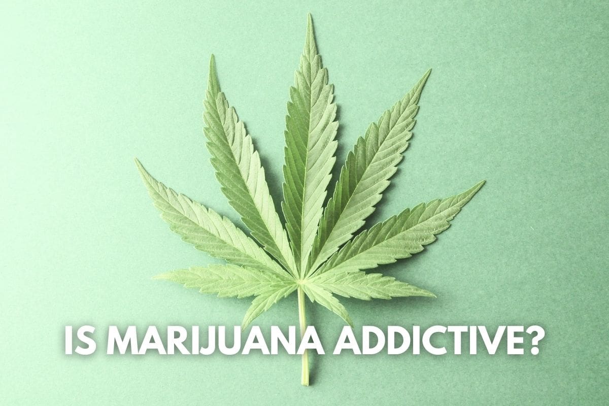 Why is Marijuana Not Addictive?