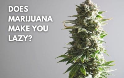 Does Marijuana (Weed) Make You Lazy?