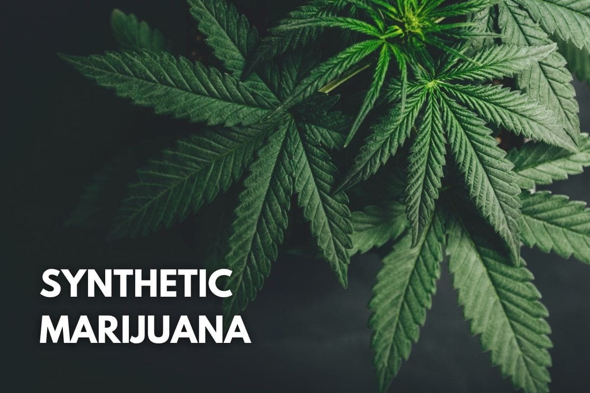 synthetic-marijuana-side-effects