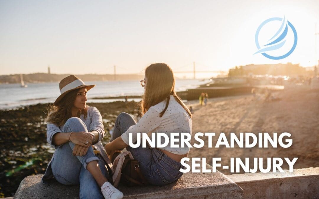 an image of two friends conversating at the beach and discussing self-injury signs amongst one another.