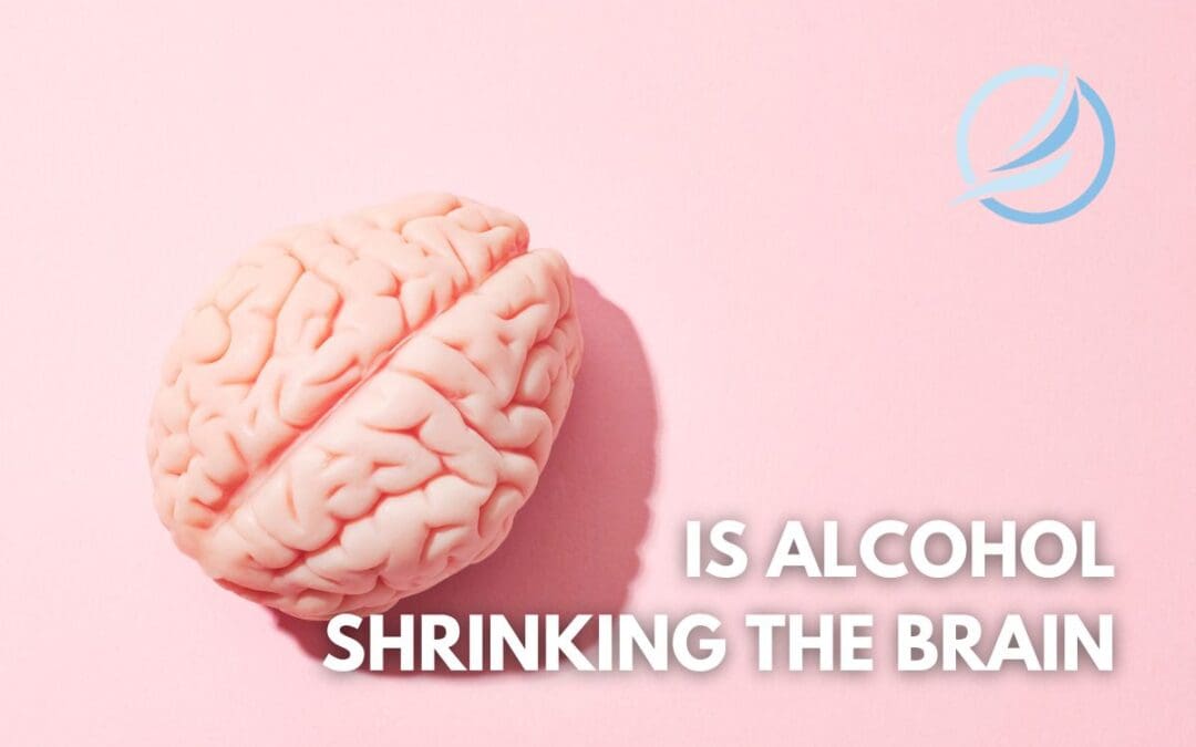 one drink per day shrinking the brain